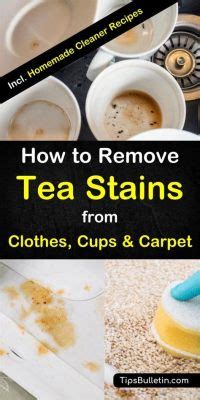 How to Remove Tea Stains from Plastic Pitcher: A Comprehensive Guide and the Curious Case of Why Tea Loves Plastic